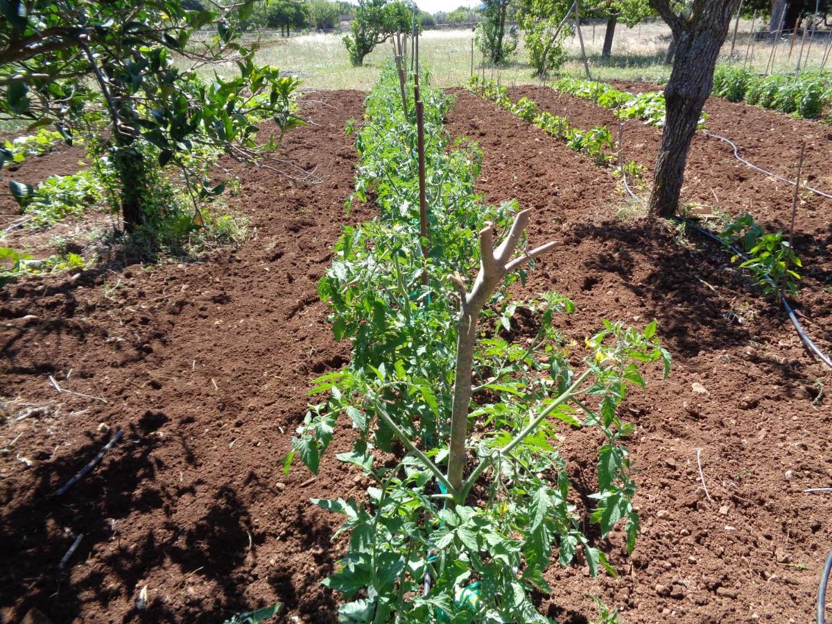 Agroturismo Na Set Centes 3*