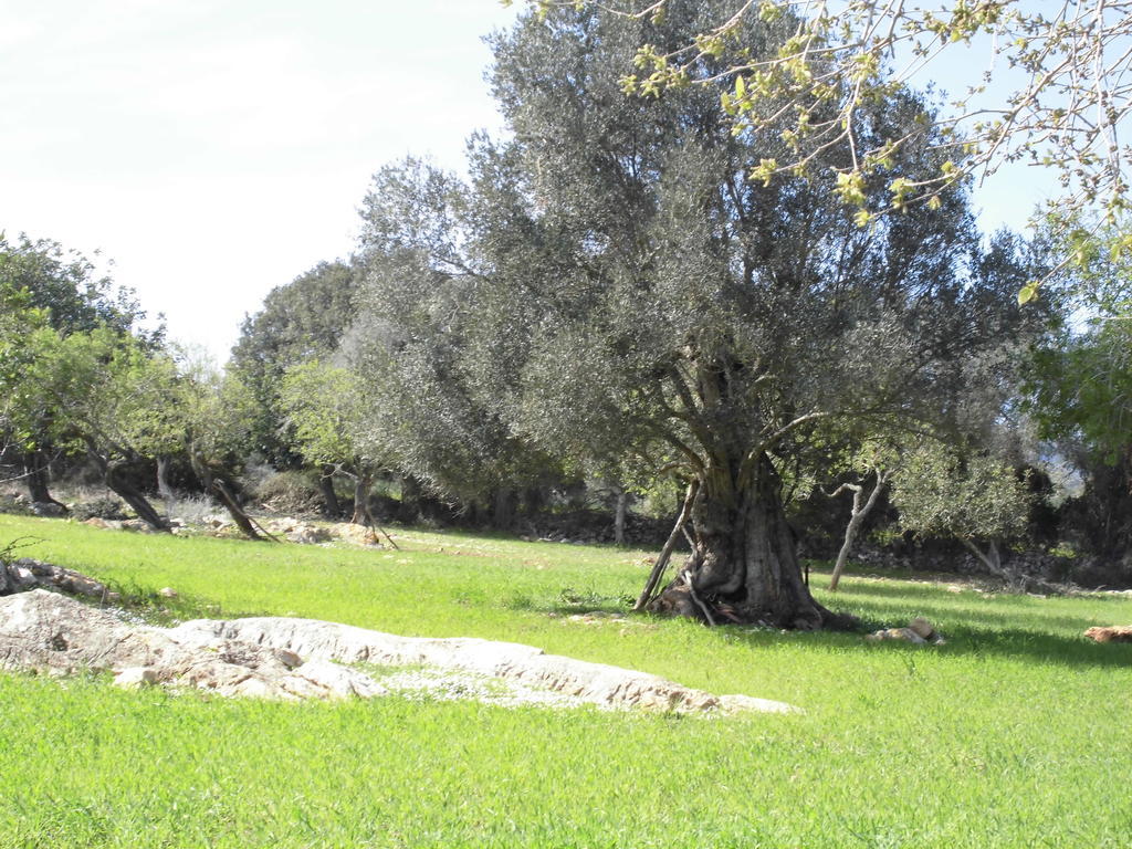 Agroturismo Na Set Centes Arta