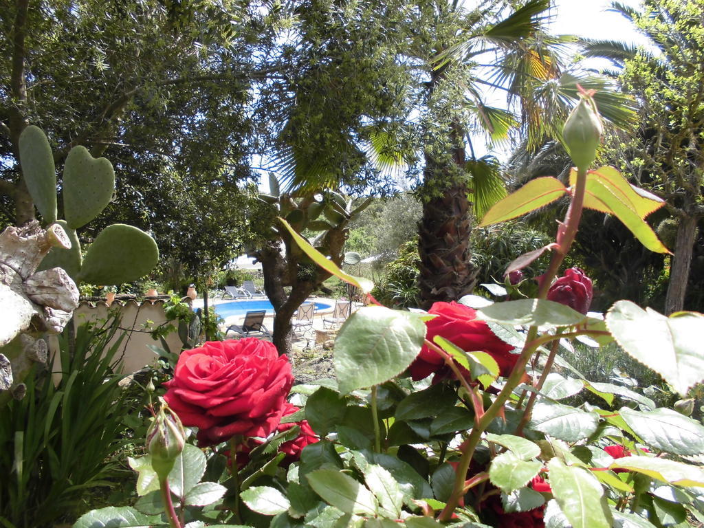 Hotel Agroturismo Na Set Centes 3*