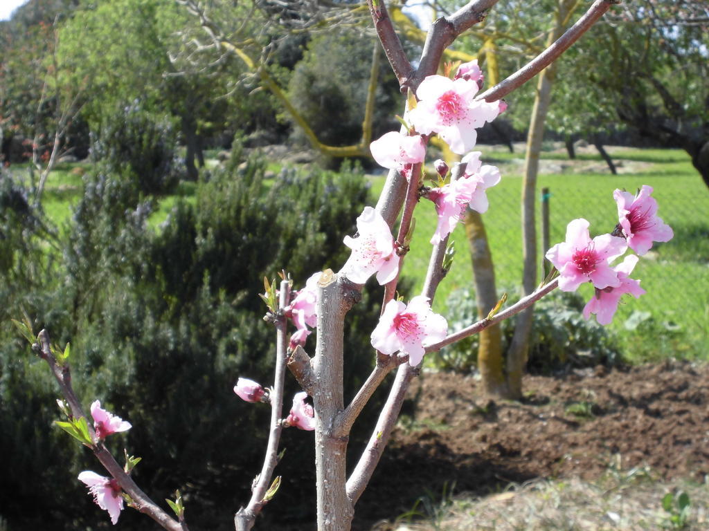 Hotel Agroturismo Na Set Centes Arta