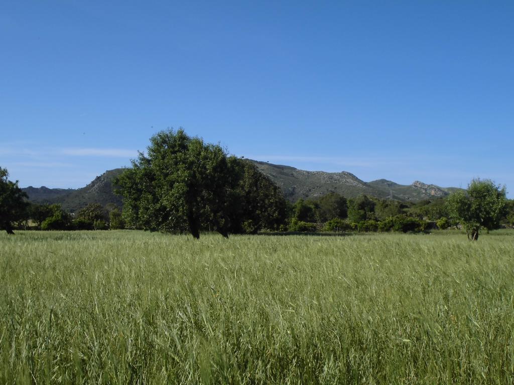 Agroturismo Na Set Centes Hotel Arta