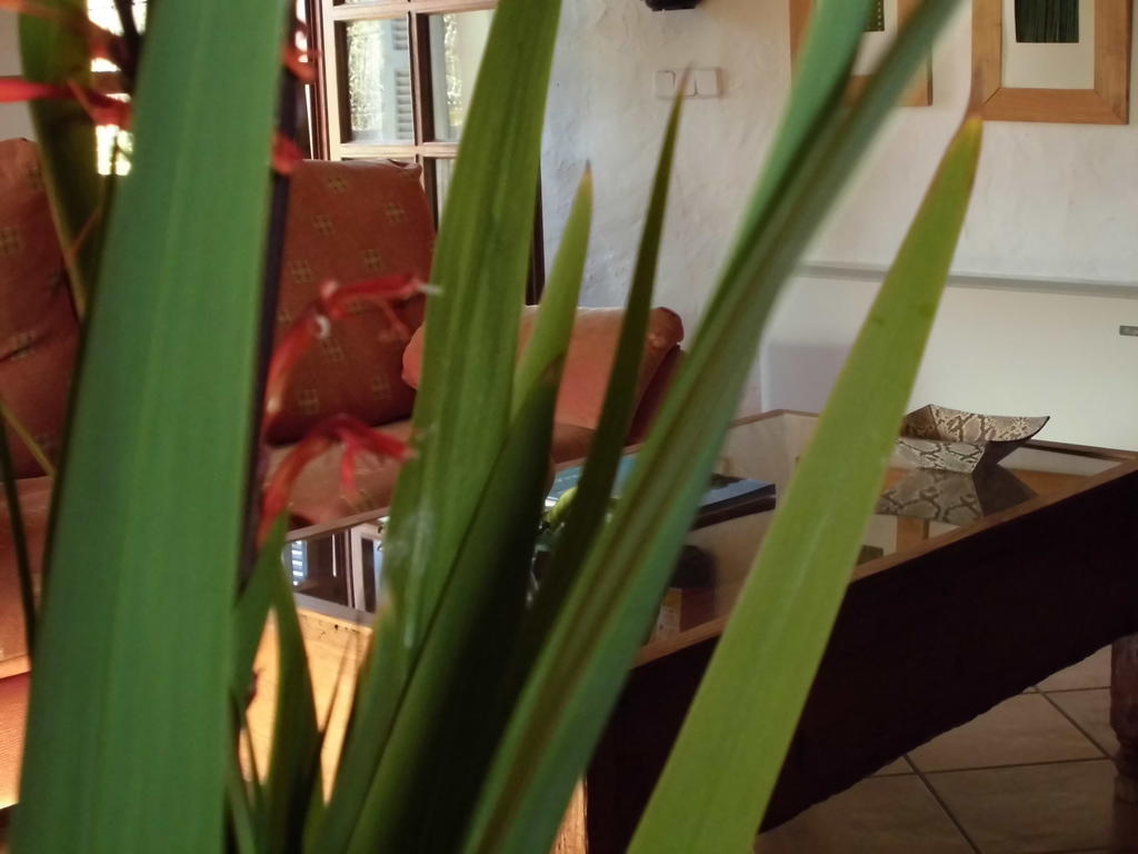 Hotel Na Set Centes - Adults Only 3*